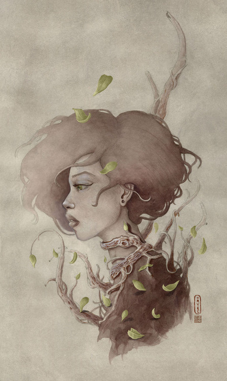 Life and Nature travishayesillustration.com #illustration #design #graphic #art