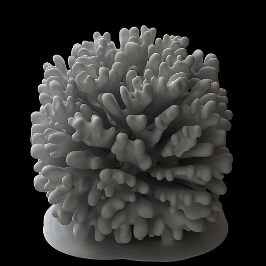radial Laplacian Growth simulation | Flickr - Photo Sharing! #generative #fabrication #growth #simulation #digital #nervous #system