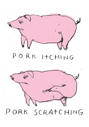 Pub Humour - Suzi Kemp #illustration #pigs #typography