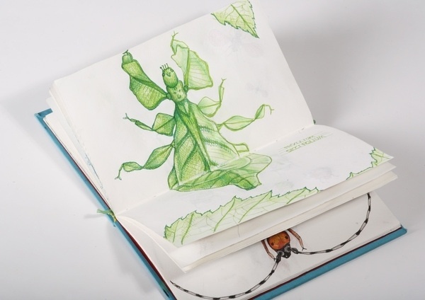 Le mond des insectes / ESAG Penninghen, Paris on the Behance Network #drawings #bugs