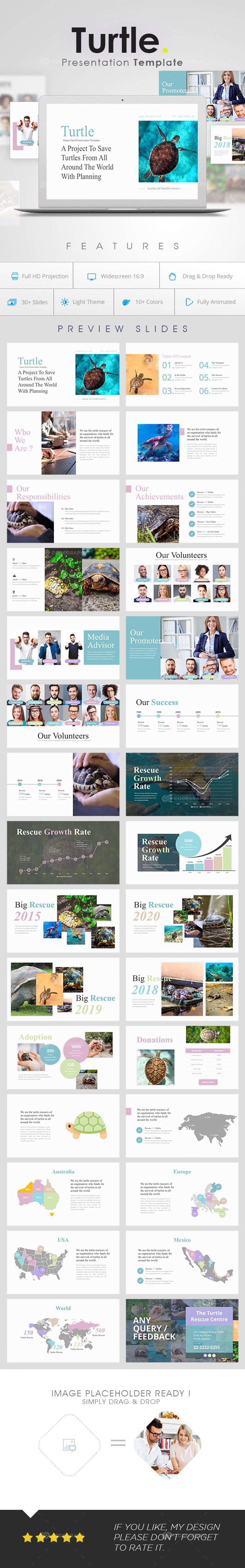 Turtle Power Point Presentation Template