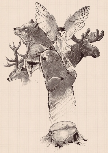 Tobe Fonseca #illustration #fonseca #tobias