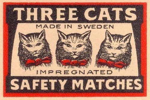 Three Cats #type #design #vintage