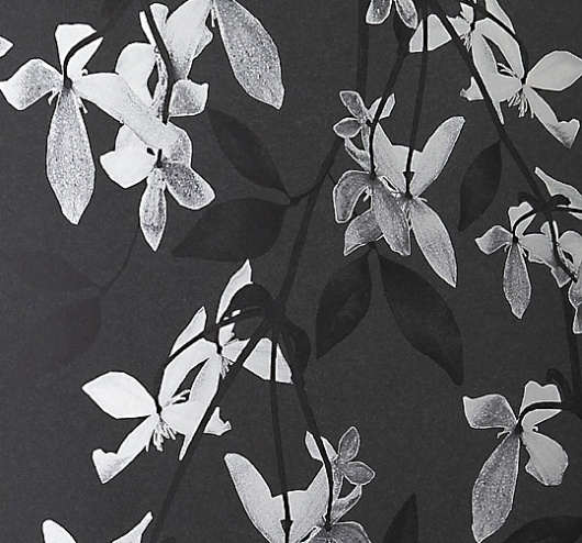 Blog | Jocelyn Warner #design #wallpaper