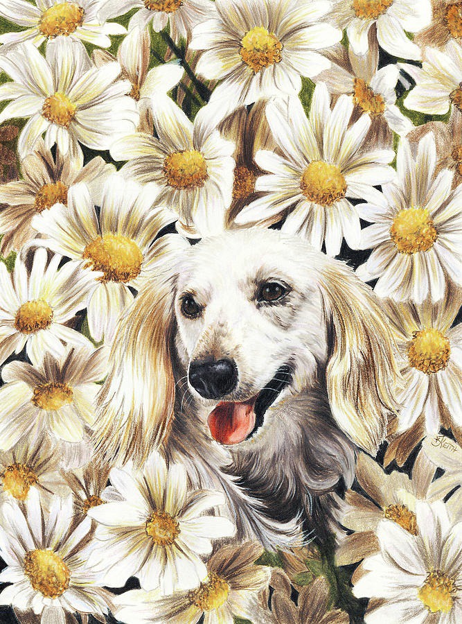 daisy painting & daisy paint by number #painting