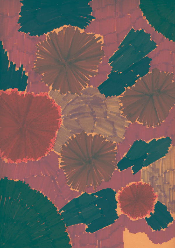 photo #color