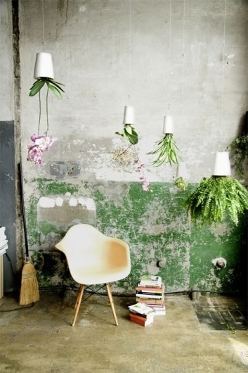 sky-planter-extension-cable-only-[2]-3031-p.jpg 479×719 pixels #planter #sky