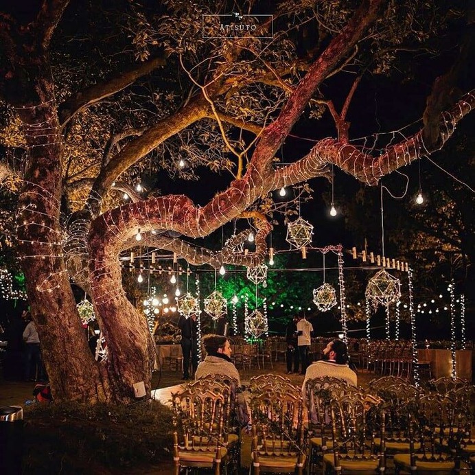 tree decoration for wedding
