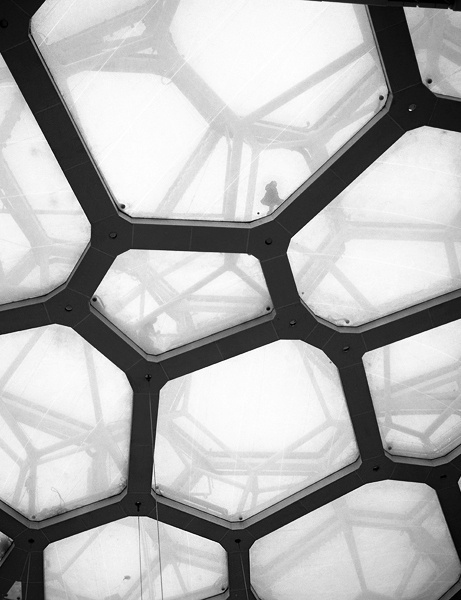From above #glass #bridge