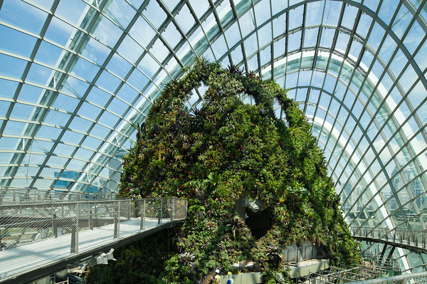 CJWHO ™ (Cooled Conservatories at Gardens by the Bay in...) #design #photography #architecture #art #garden #singapore #green
