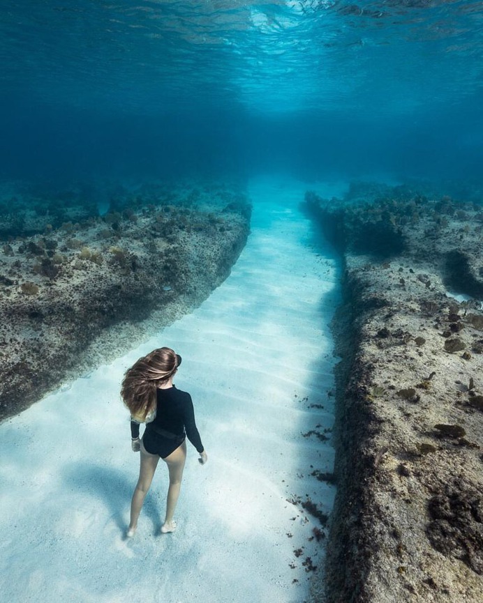 Astonishing Underwater Photography by André Musgrove