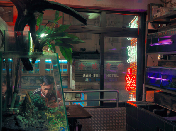 Wing Shya | PICDIT