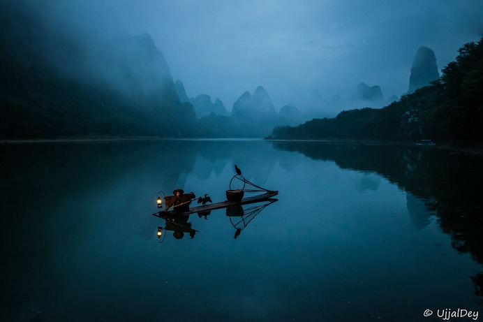 Cormorant fishing
