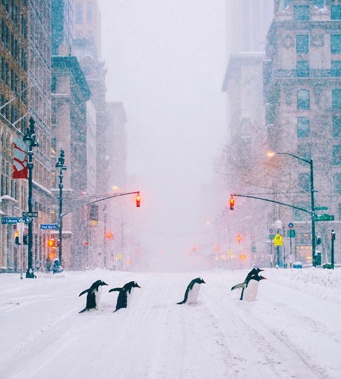 Surreal and Dreamlike Instagrams by Robert Jahns aka nois7