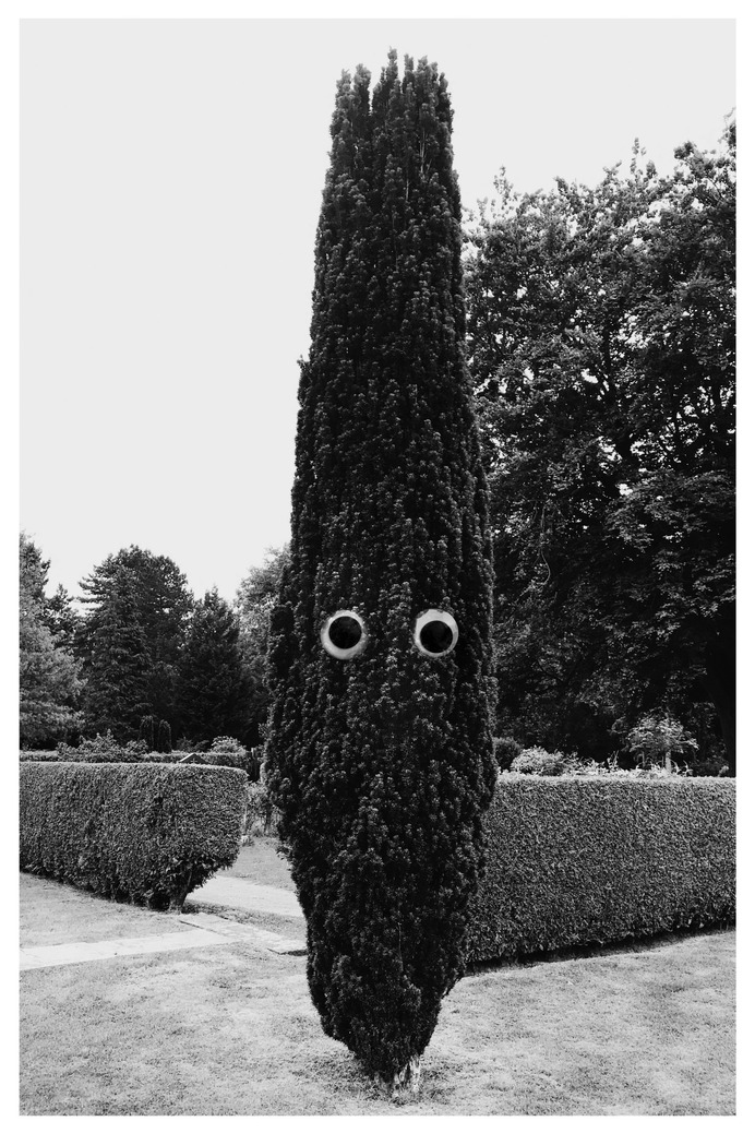 #monstertree PHOTOGRAPHIE © [ catrin mackowski ]