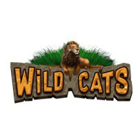 Wild Cats | Prominentt Games