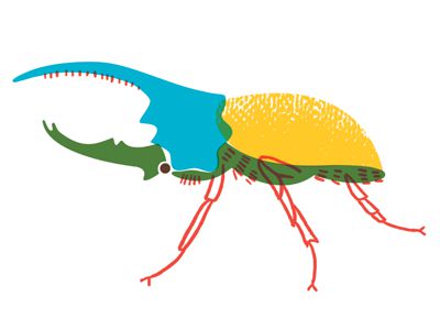 Herculese beetle
