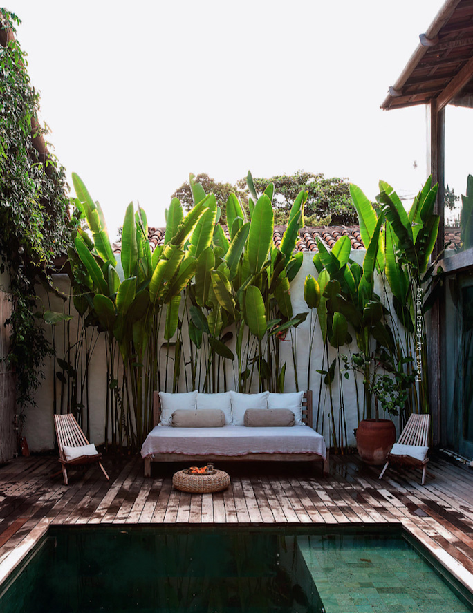i love plants