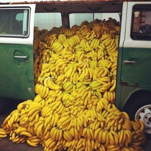 5XmVfcRV234.jpg (500×500) #banana