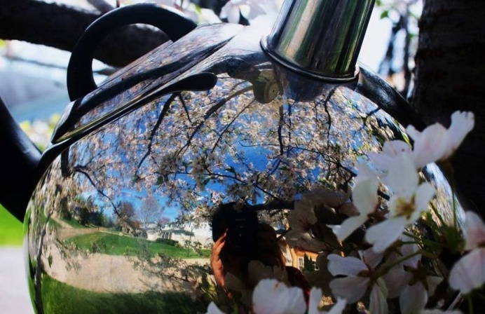 The Tea Kettle Adventures: Reflected Self-Portraits by Esha Biswas