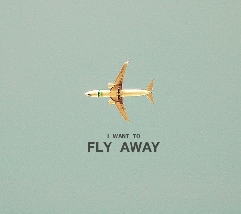Moi, je fais ce que je veux #flying #photography #plane #typography