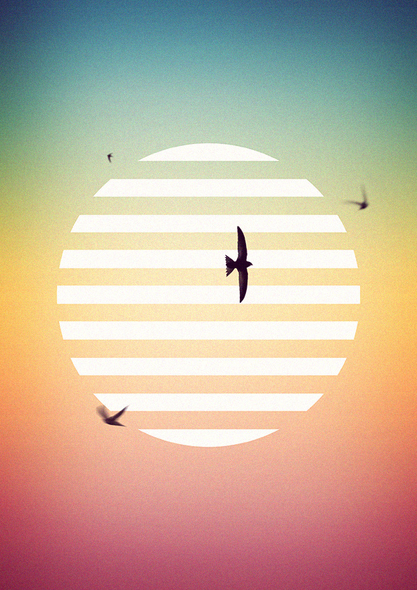 Fabrice Vrigny for Musk decoration #birds #minimal #poster