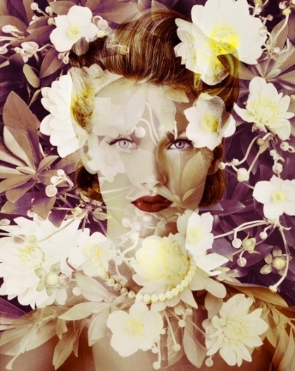 Art Sponge I Inspirational Visual Art #design #women #belin #portrait #flower #valrie