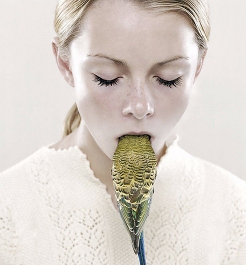 Buamai - Petrina Hicks — Designaside.com #grl