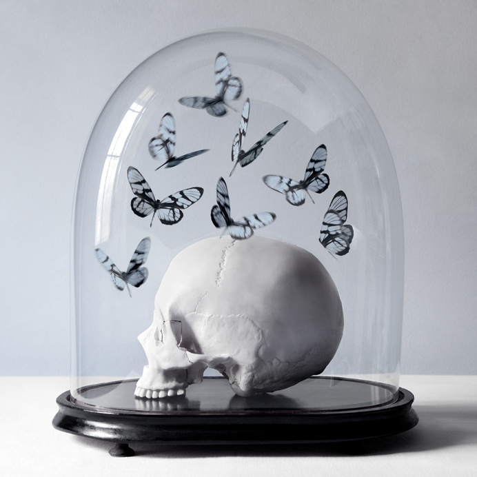 Histoires Naturelles on Behance #butterflies #skull #dome