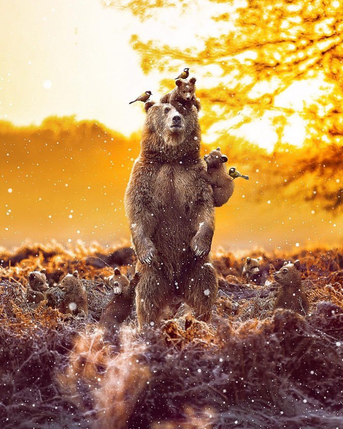 Surreal and Dreamlike Photo Manipulations by Andreas Häggkvist
