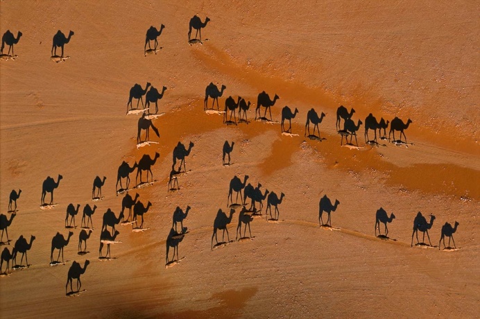 Desert Art by George Steinmetz