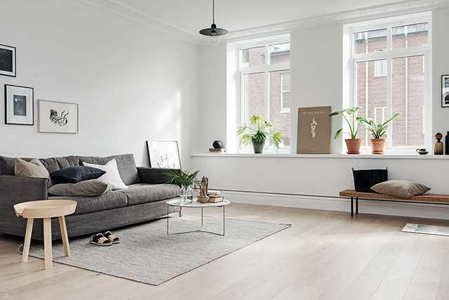 #parquet salone