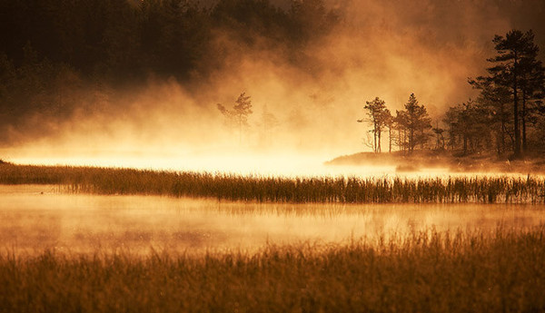 Nature Photography by Andrei Reinol #inspiration #photography #nature
