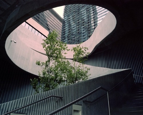 Sean M. Schmidt « PICDIT #photo #photography