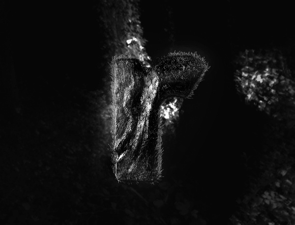 TROLL #ype #exture #ypography