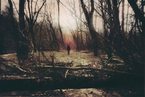Alison Scarpulla's Portfolio #photography