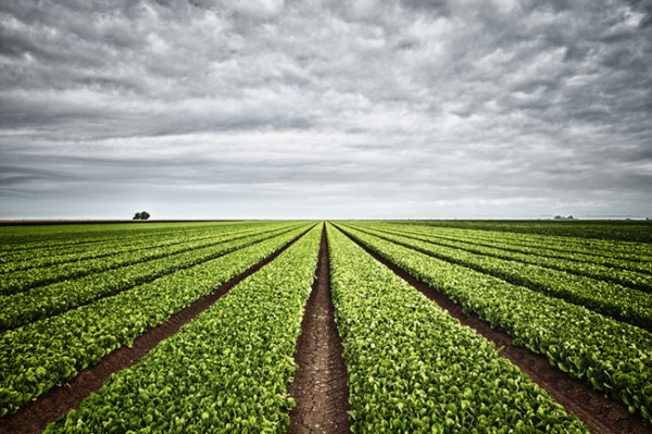 Marc Tule #inspiration #photography #landscape