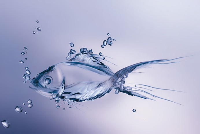 desktopwallpapers.org.ua_37355.jpg (4490×3000)