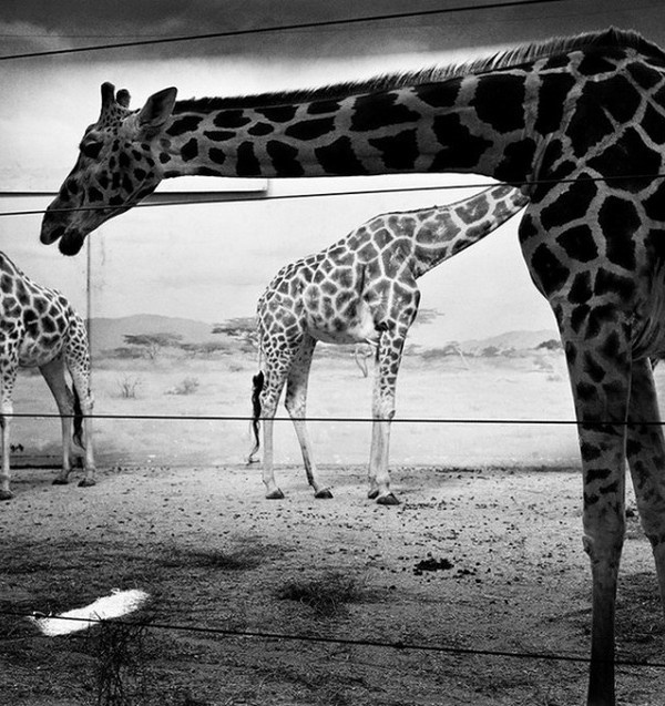 Black and White Photography by Andrea Alessio #inspiration #white #black #photography #and