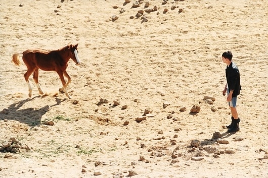 7_rjshaughnessy15.jpg (600×400) #horse #foal