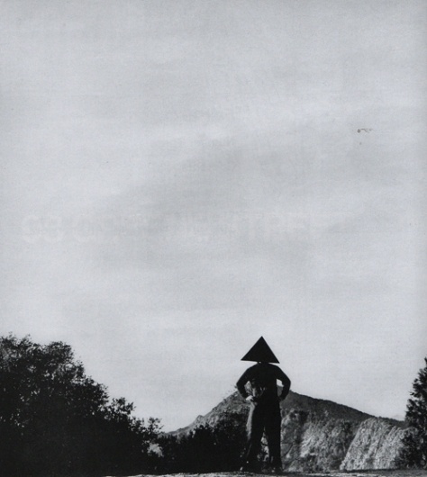 ROLU, rosenlof/lucas, ro/lu (a modern landscape design studio's blog in minneapolis) #william #cone #shapes #nature #series #art #wegman #basic