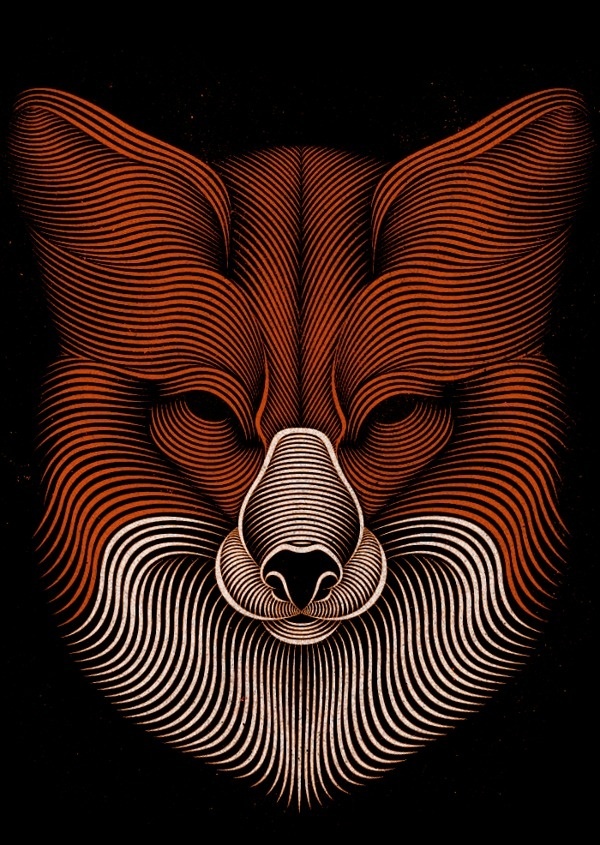 Fox on Behance #fox