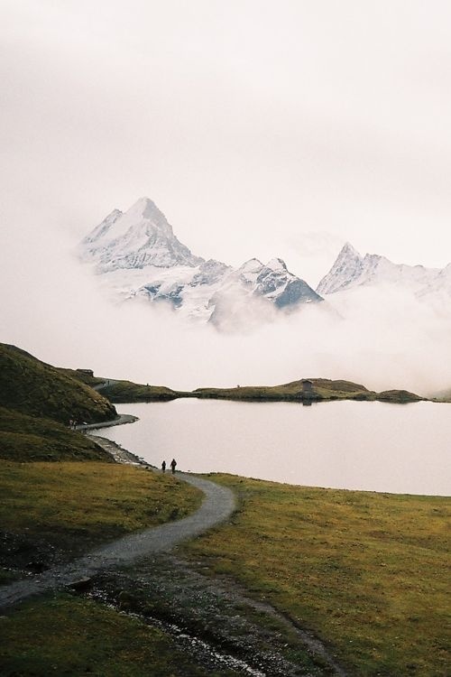 #photography#picture#photo#mountains#fog#nature