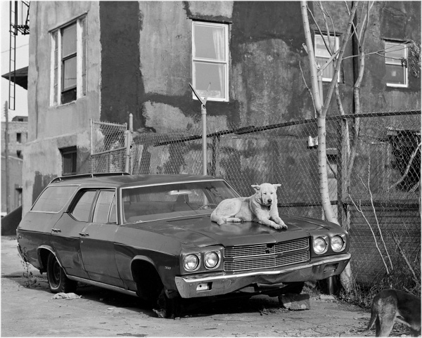 tumblr_m3sq0iTpef1qb2dp9o1_1280.jpg (1024×822) #white #weber #photo #matt #black #1986 #and