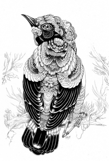82ef4c7e78ec0f1872a5d263e7eb82df.jpg 600×887 pixels #iain #shapes #illustration #nature #geoetric #macarthur #animal