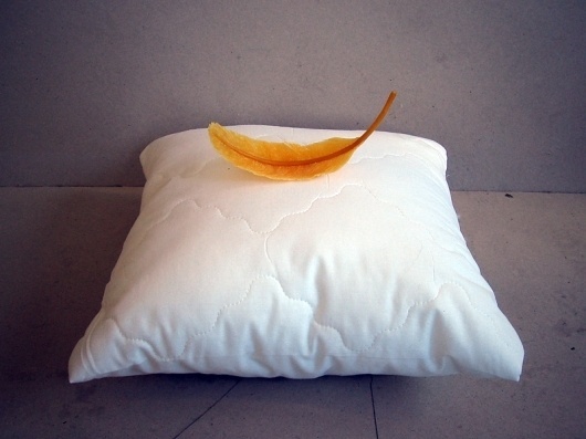 KISS (beeswax on a pillow - 2011) #fiedler #wax #art #markus