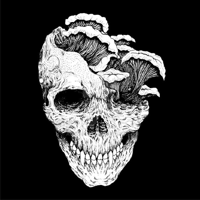 Skull 3 by alyudapn