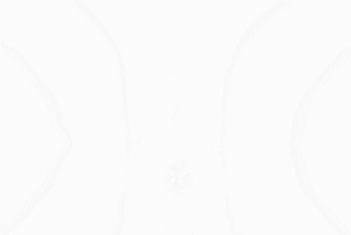 flashes Â Angelique DelabreÂ 2012 #white #photo #black #gif #and #fashion