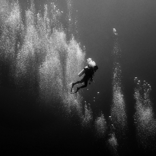 Google Reader (1000+) #white #diver #bubbles #black #photography #and #underwater