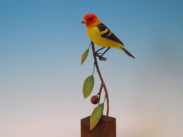Western Tanager